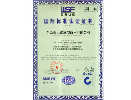 天泓-国际标准认证证书